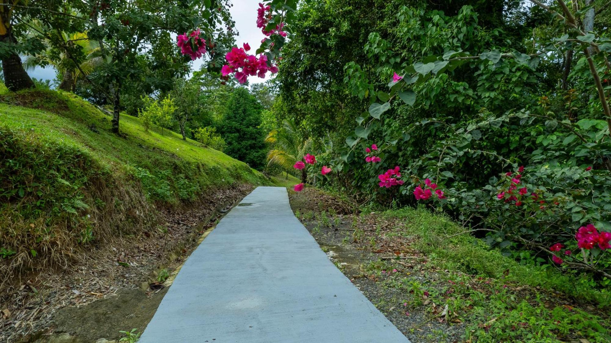 Serenity Rainforest Condos La Fortuna Luaran gambar